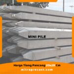 Tiang Pancang 20x20 Cm