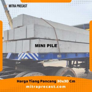 Tiang Pancang 30x30 Cm